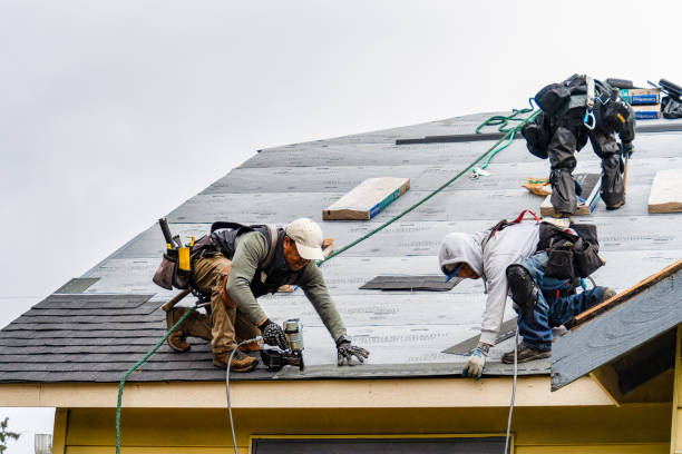 Professional Roofing technician working in Dent, MN